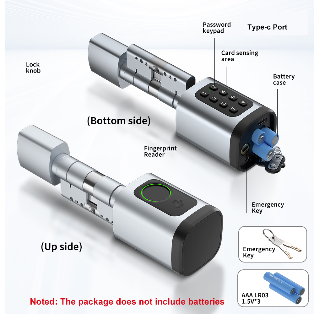 RAYKUBE V1 Tuya BLE TT Lock Sl - Home Automation System Diy recensie en prijs